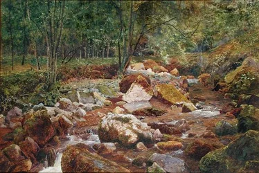Rocky Stream Overhung with Trees (akwarela i body z gumą arabską na papierze)