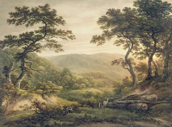 Needlewood Forest, Hampshire (akwarela na papierze)