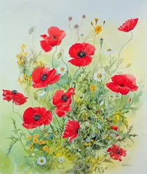 Maki i Mayweed