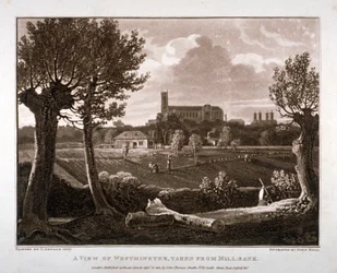 Widok Westminster z Millbank, Londyn, 1807
