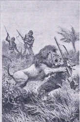 Koniec Livingstone