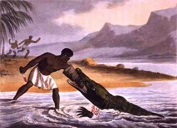 Afrykańscy łowcy krokodyli, grawerowane przez Matthew Dubourga (fl.1785-1820), wydane przez Edwarda Orme