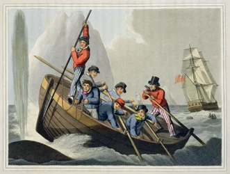 Okręt atakujący wieloryba, ryty: Matthew Dubourg (fl.1785-1820), wyd. Edward Orme, 1813