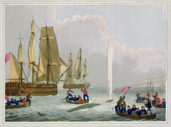 Łodzie podchodzące do wieloryba, rycina autorstwa Matthew Dubourga (1785-1820), wydana przez Edwarda Orme