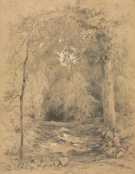 Wnętrze lasu, ok. 1900 r. 1870.