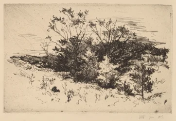 Jesienne Avondale