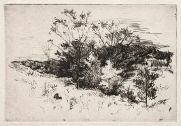 Krajobraz jesienny, 1879-80.