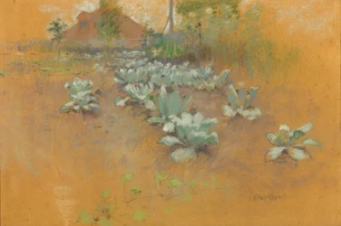 Plaster tytoniowy, c.1895-1899 (pastel na brązowym papierze)