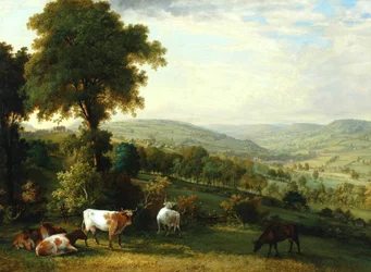 Widok na dolinę Shibden