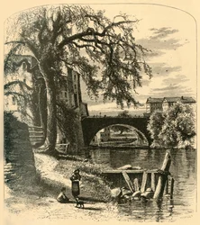 „Most Main-Street, Hartford”, 1874.