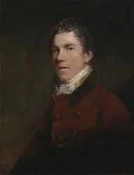 Sir Davida Wilkiego