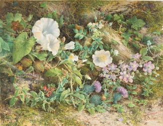 Studium kwiatowe, 1866.