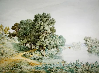 Postwick Grove nad rzeką Yare (akwarela na papierze)