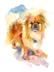 Portret wywrotki, 2016, (akwarela)