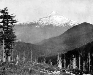 Mount Hood, Oregon, USA, 1893.