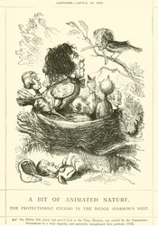 Trochę ożywionej przyrody, protekcjonistyczna kukułka w gnieździe wróbli