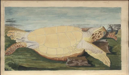 Rysunki Lindsay tom. VII, 31