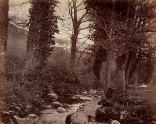 Bez tytułu, ok. 1859.