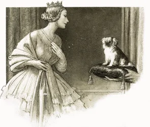 Dlatego... "Looty" był pekińczykiem