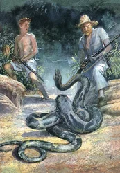 Szwajcarska rodzina Robinsonów