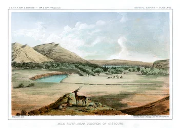 Milk River, w pobliżu skrzyżowania Missouri, 1856.