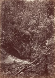 Ekspedycja Darien, 1871 r. (zdjęcie)