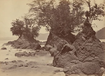 Wyspy, zatoka Limon, 1871 (zdjęcie)