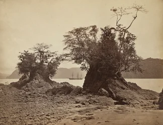 Wyspy w Lemon Bay, 1871.
