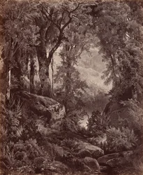 Samotność, 1865 (zdjęcie)