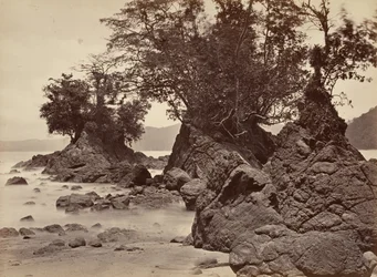 Tropikalna sceneria, Zatoka Limon - Odpływ, 1871.
