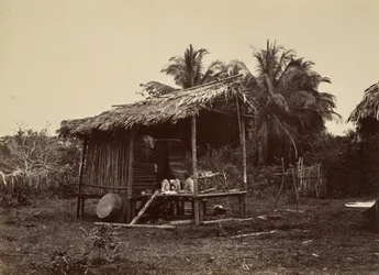Tropikalna sceneria, chata rodzima, Turbo, 1871.