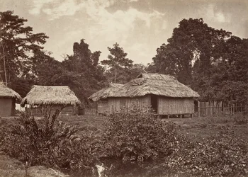 Tropikalna sceneria, Turbo Village, 1871.