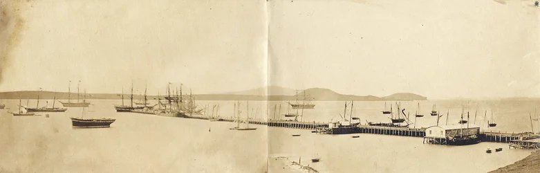 Port w Auckland, 1865 (odbitka albuminowa)