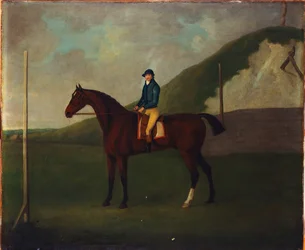 „Creeper”, Bay Colt z dżokejem na starcie w przerwie w biegu w Devils Ditch, Newmarket