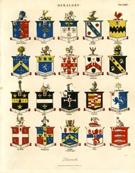 Herby brytyjskich baronetów; Płyta LXXXIX