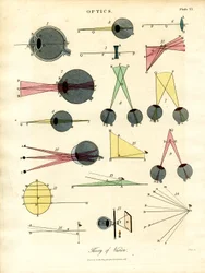 Teoria widzenia