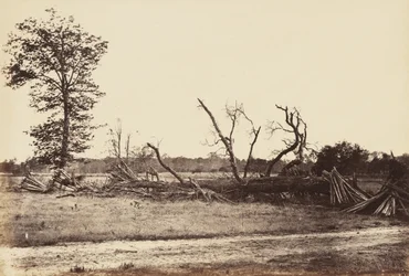 Extreme Line of Confederate Works, Cold Harbor., kwiecień 1865 (odbitka albumu osadzona na papierze tkanym)