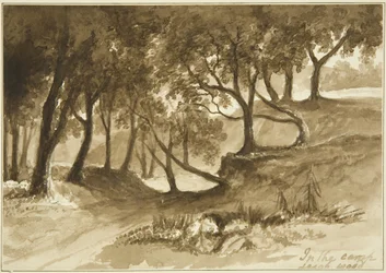 Zobacz w obozie Burwalls, Leigh Woods