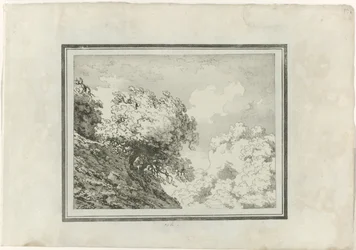 Dąb