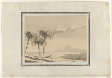 Palm (tytuł na obiekcie)