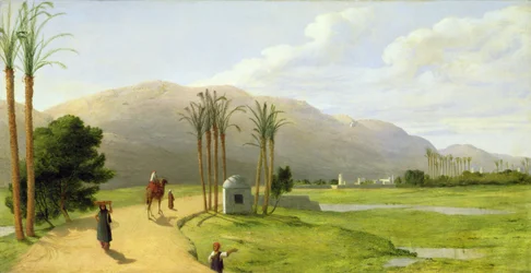 Asjut nad Nilem, 1873