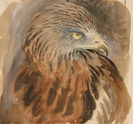 Głowa latawca, z życia, 30 sierpnia - 1 września 1870.