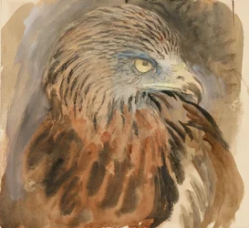 Głowa latawca, z życia, 30 sierpnia - 1 września 1870.