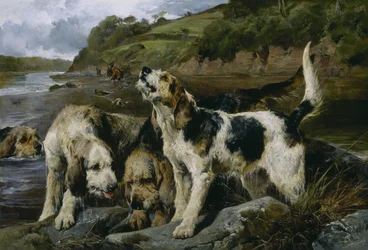 Polowanie na wydry, czyli na trop, 1881