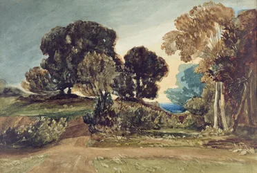 Zalesiony Park (akwarela na papierze)