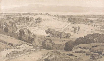 Holt Heath, niedaleko Norwich