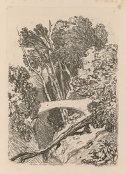 Liber Studiorum: Tablica 11: Parsons Bridge, Cardingshire, 1838