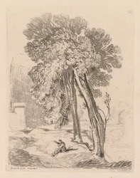 Liber Studiorum: Tablica 18, Drzewa w Norwich Thorp, Norfolk, 1838.