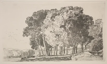 Księga studiów: Twickenham