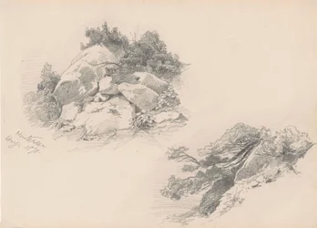 Rocks and Brush, Hintersee, Niemcy, 1871 (grafit na papierze tkanym)